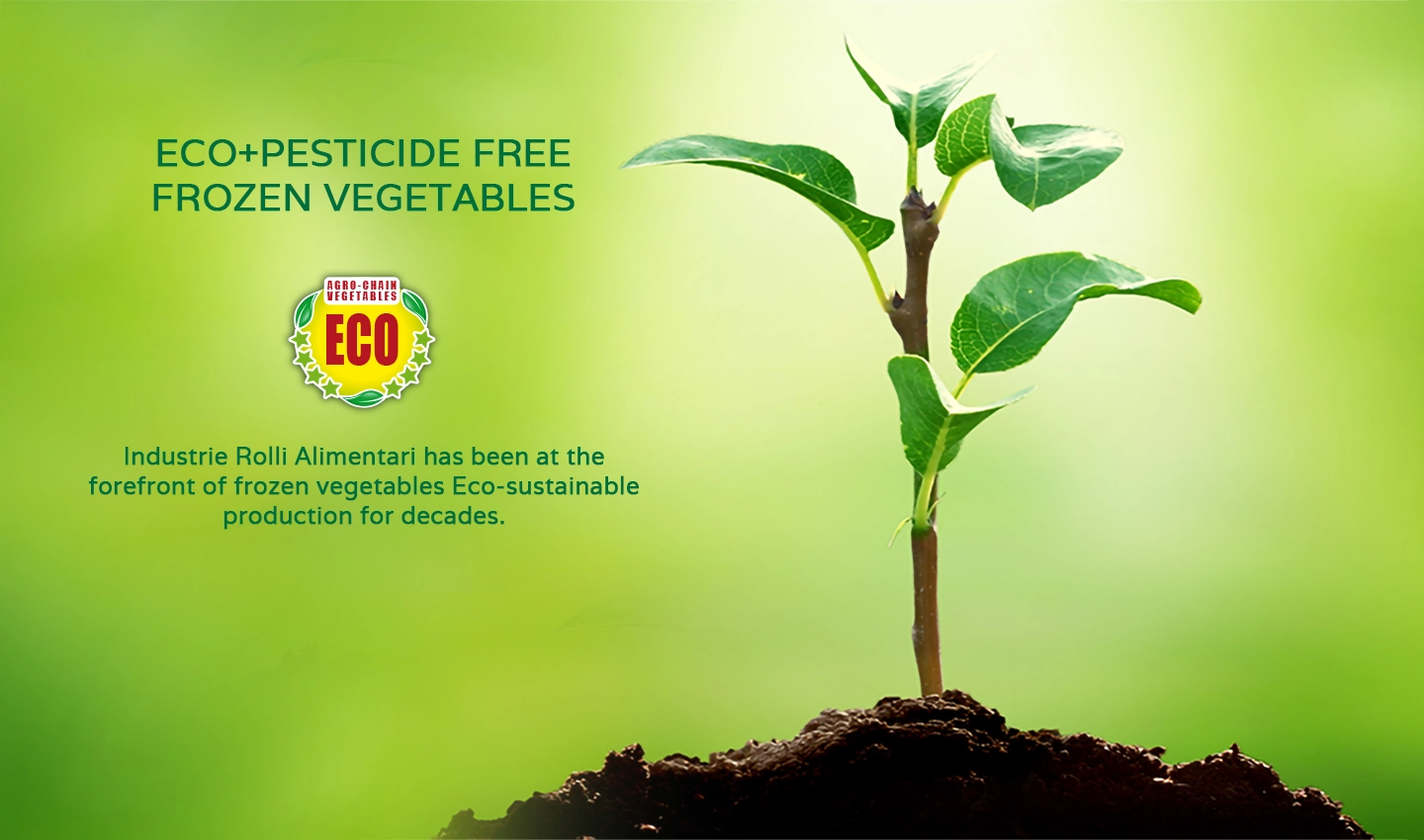 filiera 1440x850_INGLESE filiera