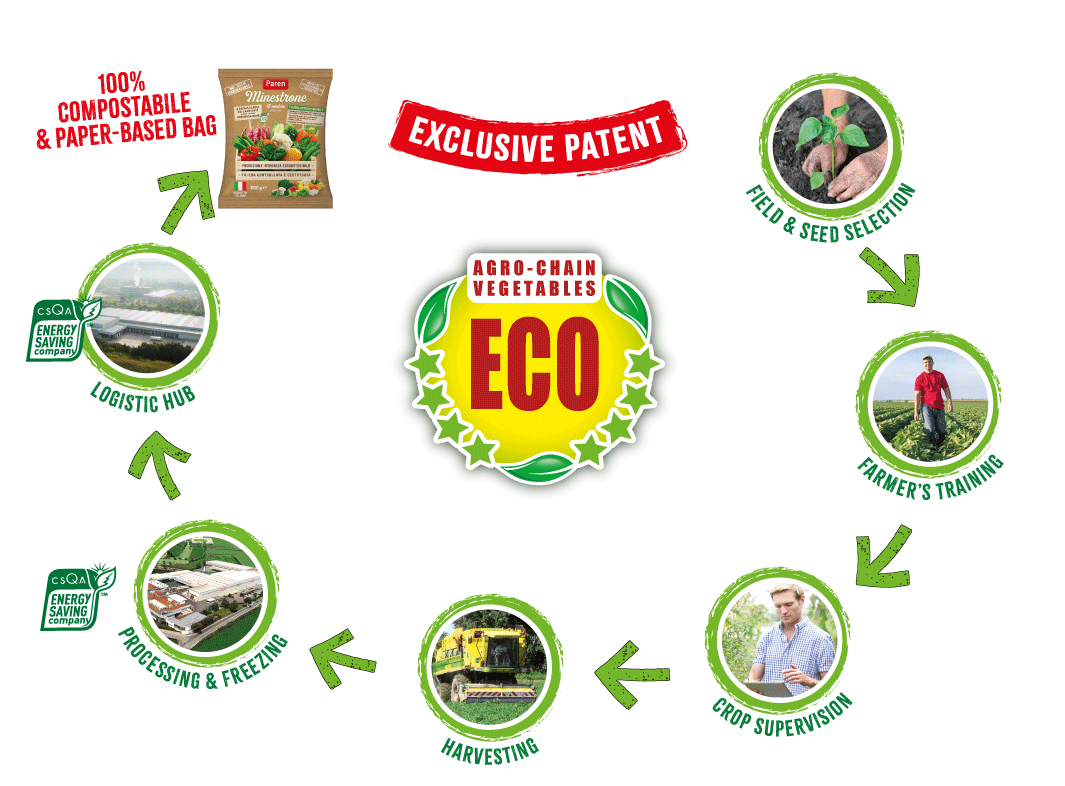 rotella-filiera-INGLESE rotella filiera INGLESE